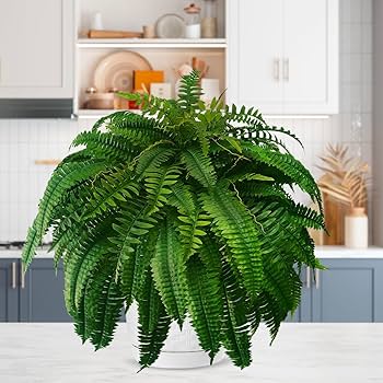 ・高麗時代　白泥象嵌鉢F 直径21cm か4-0819①トヒサ Yahoo!オークション - 【五】高麗青磁象嵌鉢 高麗時代